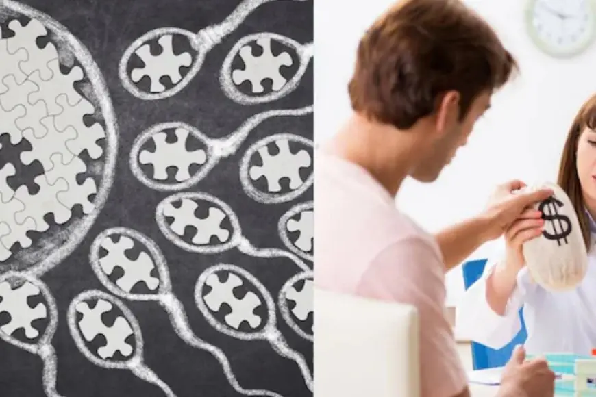 Planning A Baby? Here’s The Sperm Count Doctors Recommend For Better Conception Chances