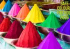 Holi 2026: Natural And Herbal Colours To Use And Avoid