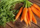 Can Carrots Sharpen Vision? Experts Bust The Popular Eye Health Myth