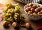 Why Hazelnuts Are The Secret Superfood You Have Been Ignoring
