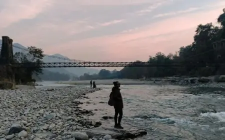 From Doomscrolling To Dawn Safaris: Could Slow Travel Be The Antidote To Digital Overload?