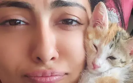 Are You Meeting Your Cat’s Nutritional Needs? Experts Explain The Essentials For A Healthy Feline Diet