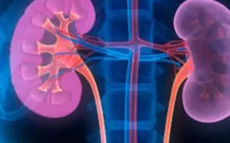 How Dehydration In Busy Urban Lifestyles Is Quietly Impacting Kidney Health