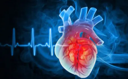 American Heart Association Updates Cholesterol Guidelines, Focuses On Lifetime Heart Risk Reduction