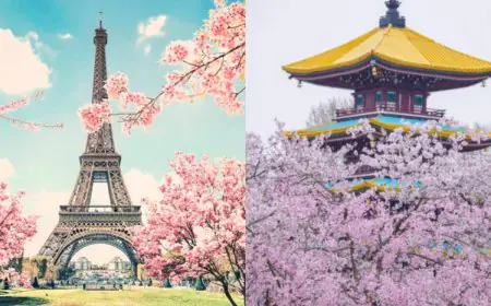Beyond Japan: Dreamy Cherry Blossom Destinations You Need To Visit