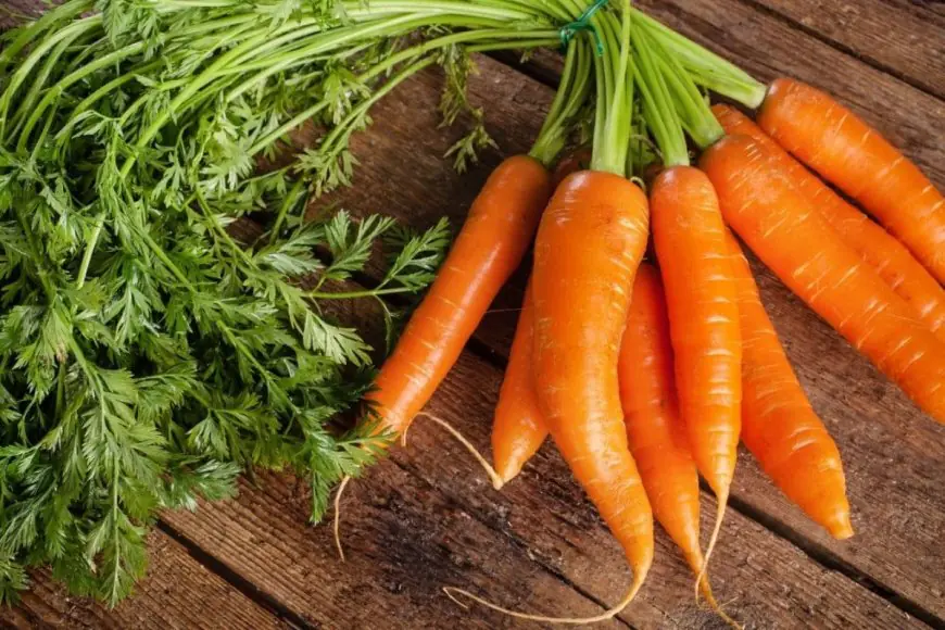 Can Carrots Sharpen Vision? Experts Bust The Popular Eye Health Myth