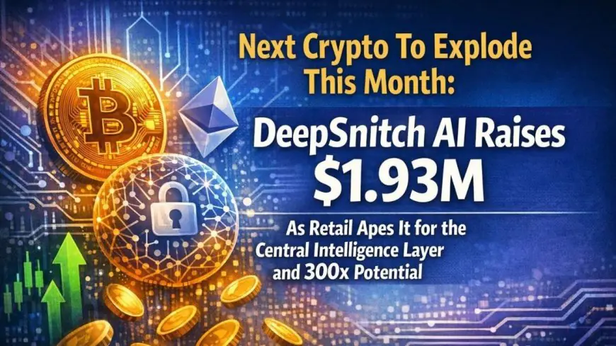 Next Crypto To Explode This Month: DeepSnitch AI Raises $1.93M As Retail Apes It for the Central Intelligence Layer and 300x Potential, SOL and LINK Enter Recovery