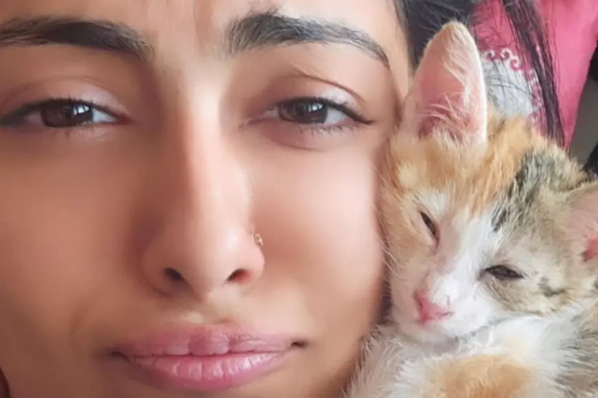 Are You Meeting Your Cat’s Nutritional Needs? Experts Explain The Essentials For A Healthy Feline Diet