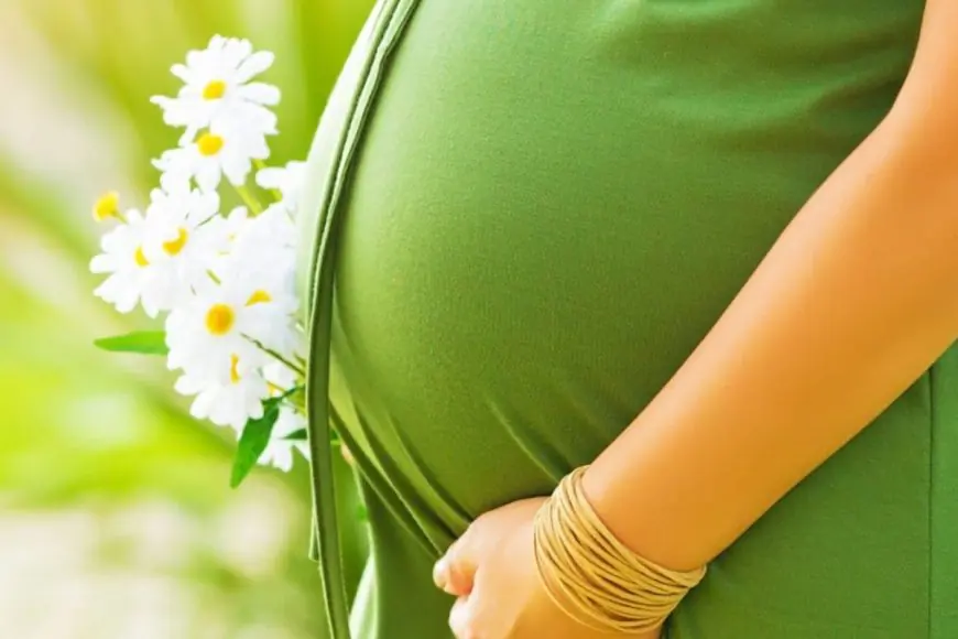 Have Gone Down The IVF Path To Have Kids? Here's What You Need To Know