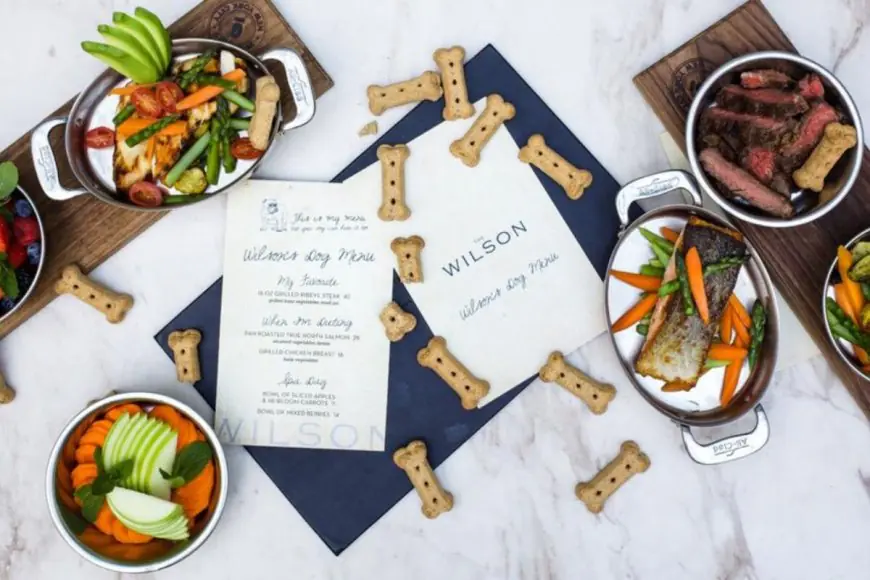 Luxury Dining Goes Pet-Friendly: Inside The Rise Of Gourmet Menus For Four-Legged Guests