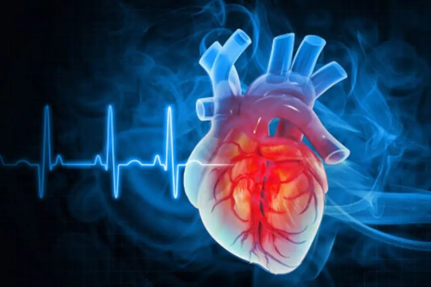 American Heart Association Updates Cholesterol Guidelines, Focuses On Lifetime Heart Risk Reduction