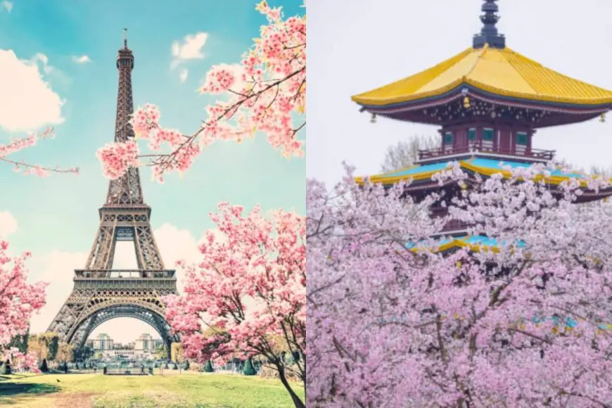 Beyond Japan: Dreamy Cherry Blossom Destinations You Need To Visit