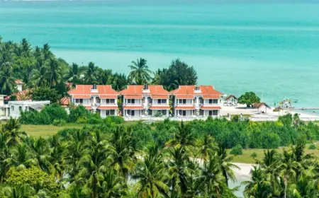 World Health Day 2026: 5 Scenic Digital Detox Destinations To Reset And Recharge