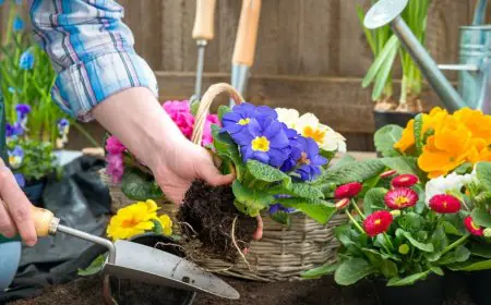 Want Your Balcony Garden To Stay Colourful This Summer? These 10 Heat-Tolerant Flowers Can Help