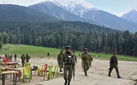 Pahalgam 2026: A Year Of Grit, QR Codes, And Tourism's Long Walk To Recovery