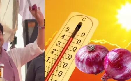 Can An Onion In Your Pocket Save You From Heatwaves? Truth Behind Jyotiraditya Scindia’s Viral Tip