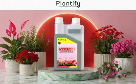 Top Benefits of Using Organic Liquid Potting Mixture for Home Gardening