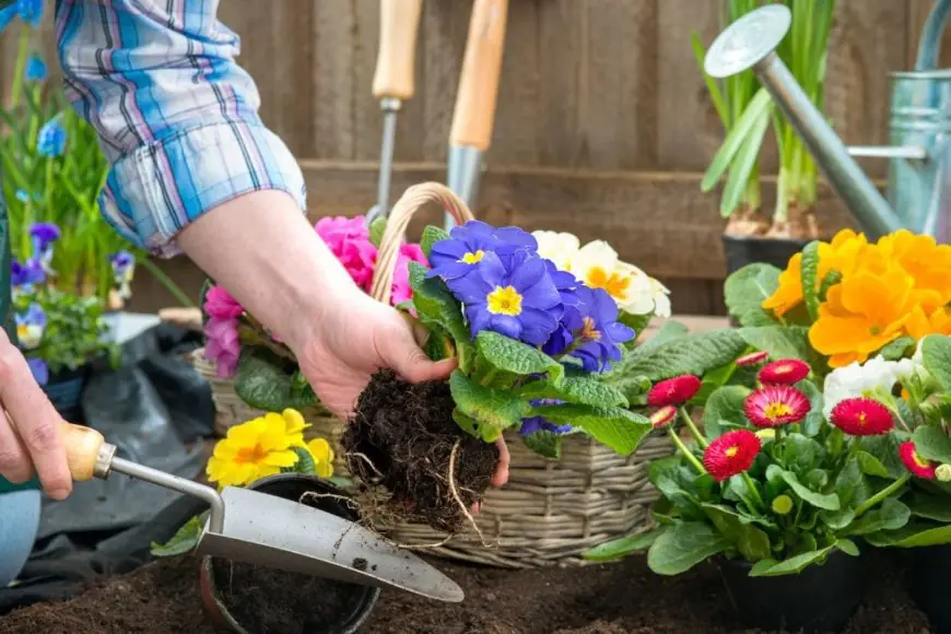Want Your Balcony Garden To Stay Colourful This Summer? These 10 Heat-Tolerant Flowers Can Help