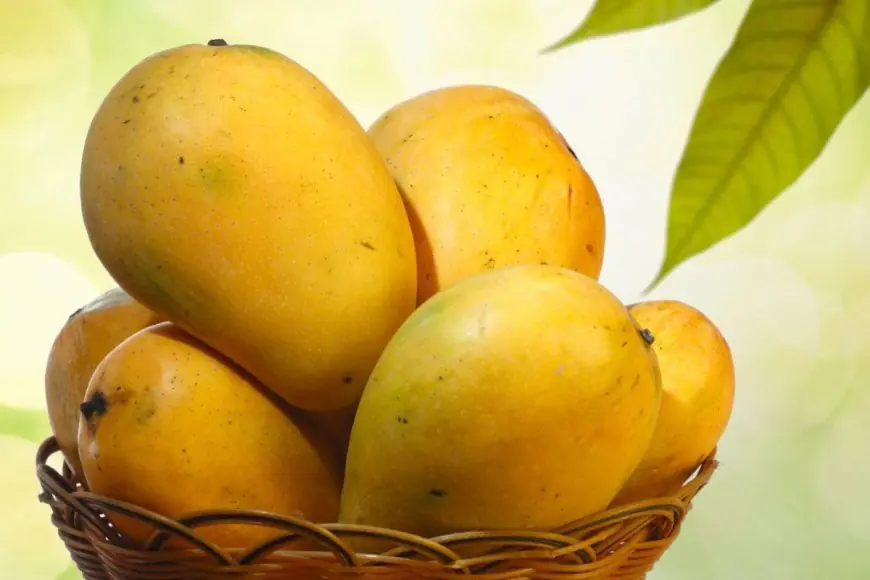 From Street Favourite To Status Symbol: Inside The World Of Luxury Mangoes