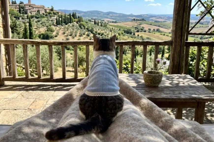 The Pawprint Planners: How Pet-Friendly Travel Is The Next Big Travel Trend Of 2026