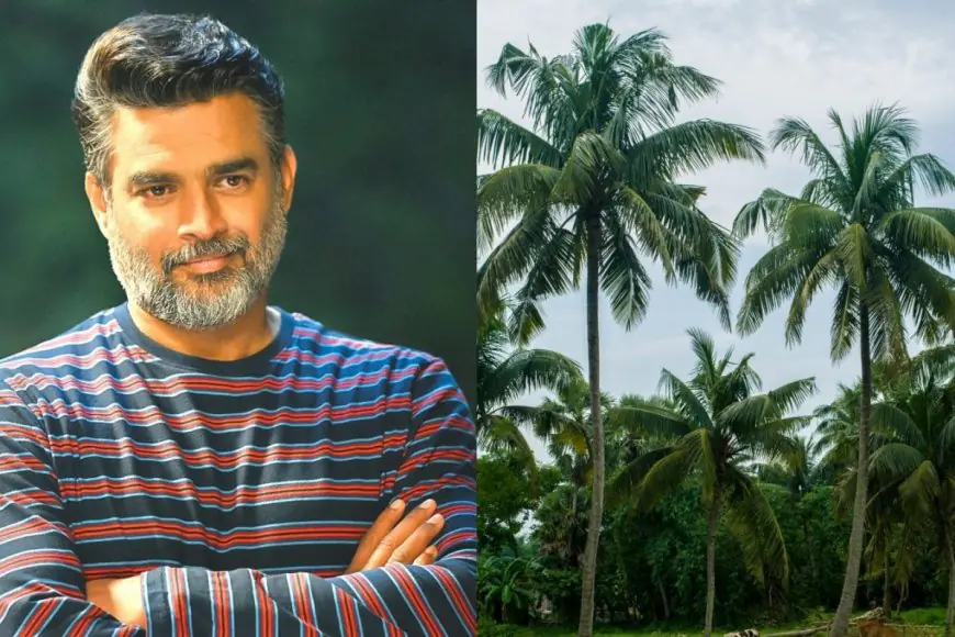 How R Madhavan Turned Dry Land In Tamil Nadu Into A Booming Coconut Farm In Just 3 Years?