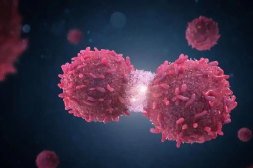 Freeze Therapy: The New-Age Cancer Treatment Helping Patients Live Better, Not Just Longer
