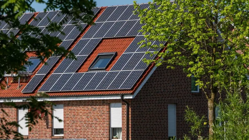 Earth Day 2026: 7 Sustainable Choices Every Home Can Make