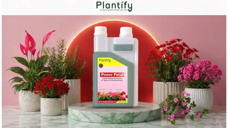 Top Benefits of Using Organic Liquid Potting Mixture for Home Gardening